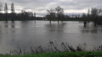 Le fleuve Charente à Saintes (Charente-Maritime), le 25 décembre 2018. (MARIE-LAURENCE DALLE / FRANCE BLEU LA ROCHELLE)