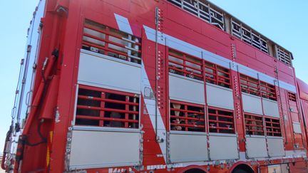 Un camion transportant des vaches entre dans le port de commerce de Sète (Hérault), le 24 juillet 2020. (NICOLAS GUYONNET / HANS LUCAS / AFP)