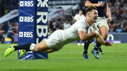 L'Anglais Danny Care marque le septième essai du XV de la Rose, contre l'Ecosse, au Tournoi des six nations, le 11 mars 2017, au stade de Twickenham, à Londres. (GLYN KIRK / AFP)