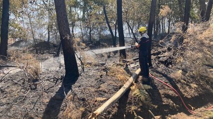 Un pompier mobilisé lundi contre le feu de forêt à Mano (Landes). (TRISTAN BARRAUX / RADIO FRANCE)