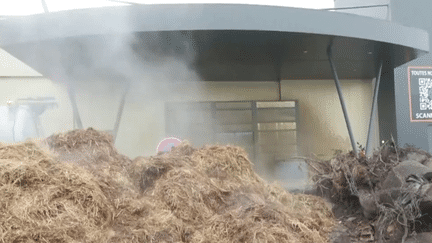 Un hypermarché Leclerc d'Agen (Lot-et-Garonne) a été pris pour cible par les agriculteurs en colère, jeudi 25 janvier. Le toit de l'entrée s'est effondré sous le poids du lisier déversé par les manifestants. Les abords de la gare d'Agen ont par ailleurs été couverts de fumier et de pneus.