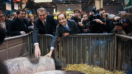 Francois Hollande, alors d&eacute;put&eacute; PS de Corr&egrave;ze, visite le Salon international de l'agriculture de la porte de Versailles &agrave; Paris, le 2 janvier 2011. (  MAXPPP)