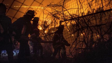 &nbsp; (PABLO SANHUEZA / REUTERS)