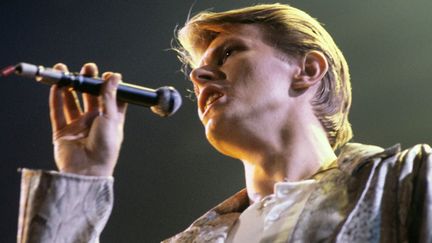 David Bowie en concert à Francfort le 14 mai 1978
 (Hans H. Krimer / DPA / MAXPPP)