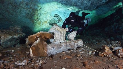 Photo diffusée le 3 juillet 2020 d'un plongeur qui explore&nbsp;des grottes sous-marines de la péninsule du Yucatan, dans le sud-est du Mexique. (SAM MEACHAM / CINDAQ / AFP)