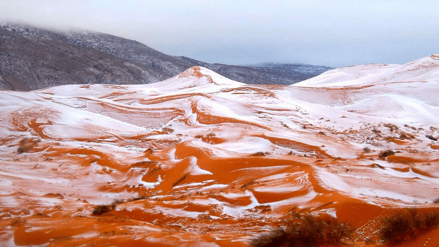 EN IMAGES. Les dunes du Sahara sous la neige pour la première fois depuis trente-sept ans