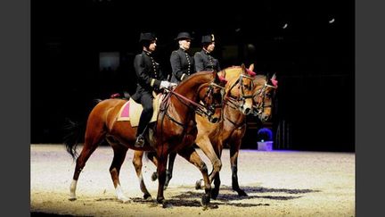 Les chevaux du Cadre noir de Saumur à Liévin (novembre 2010)
 (PhotoPQR / Voix du Nord / MAXPPP / Delphine Pineau)