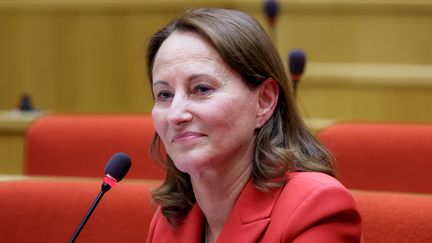 Ségolène Royal, ancienne ministre de l'Ecologie, lors d'une audience parlementaire, au Sénat, le 9 juillet 2020.&nbsp; (DANIEL PIER / NURPHOTO / AFP)