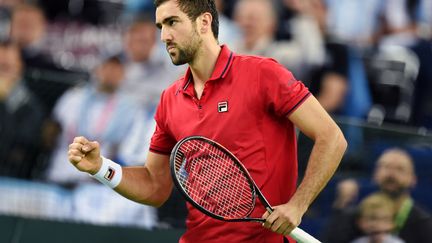 Le soulagement de Marin Cilic après sa victoire (STRINGER / AFP)