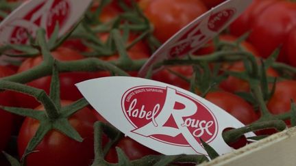 Label Rouge : pour la première fois, des tomates labellisées en supermarché