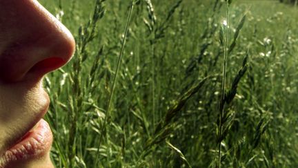 Avec le beau temps, les pollens et les allergies arrivent