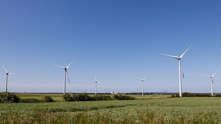 Des éoliennes dans un champ à Moult-Chicheboville (Calvados), le 21 mai 2022.&nbsp; (SAMEER AL-DOUMY / AFP)