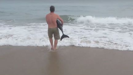 Naude Dreyer a sauvé un dauphin qui était piégé sur une plage en Namibie, mercredi 8 juin 2016. (PELICAN POINT KAYAKING / FACEBOOK)