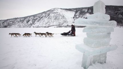 Des chiens de traineau traversent le territoire de Yukon dans le nord-ouest du Canada, le 15 février 2008. (SAM HARREL/AP/SIPA)