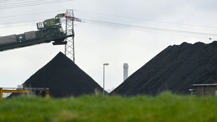 Le site de stockage pour la centrale électrique au charbon du fournisseur d'énergie allemand Steag à Duisburg, dans l'ouest de l'Allemagne,&nbsp;le&nbsp;5 avril 2022. (INA FASSBENDER / AFP)