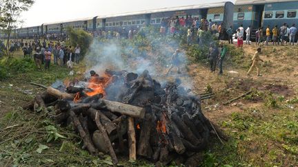 Les corps des éléphants ont été incinérés après la collision avec un train, le 11 décembre 2019 à Batasi, dans l'est de l'Inde. (DIPTENDU DUTTA / AFP)