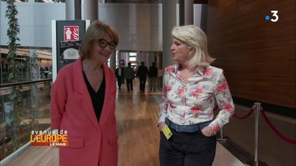 Avenue de l'Europe. Les démocraties en Europe vues par Elisabeth Morin-Chartier, députée européenne sortante (FRANCE 3)