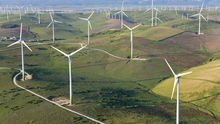 &nbsp; (La distance des éoliennes par rapport aux habitations a été reculée : 1 km au lieu de 500 m © Maxppp)