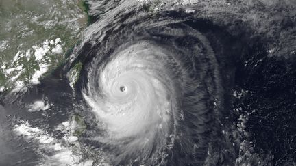 Les autorit&eacute;s japonaises ont conseill&eacute; &agrave; pr&egrave;s d'un demi-million de personnes d'&eacute;vacuer leur domicile &agrave; l'approche du typhon Neoguri, le 7 juillet 2014. (REUTERS)