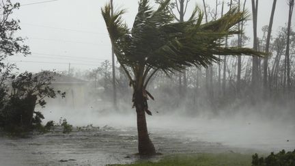 L'ouragan Dorian a frappé la ville de Freetown, le 2 septembre 2019. Dans l'archipel, des vents record de 360 km/h ont été enregistrés.&nbsp; (TIM AYLEN / AP / SIPA)