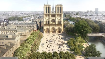 Notre-Dame de Paris : un projet de végétalisation des abords de la cathédrale, adapté au réchauffement climatique (1/1)