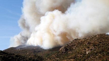 Les flammes sur les hauteurs de Rodès (Pyrénées-Orientales), le 11 août 2016. (RAYMOND ROIG / AFP)