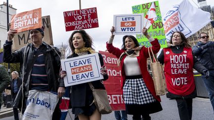 Des militants pro-Brexit manifestent près du Parlement à Londres, au Royaume-Uni, le 13 mars 2019. (NIKLAS HALLE'N / AFP)