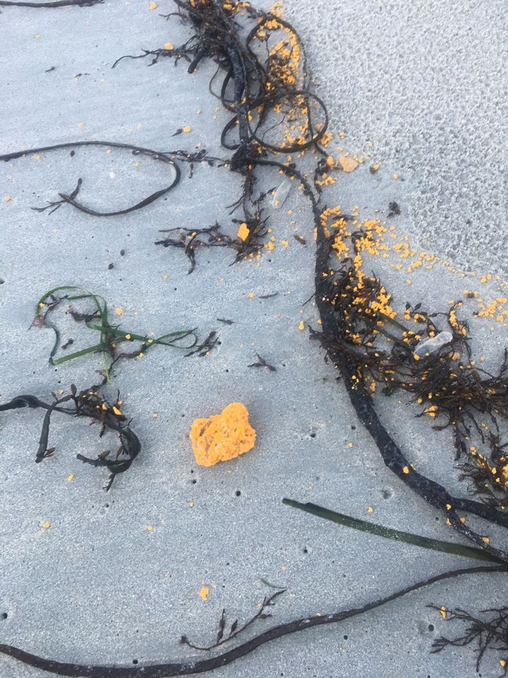 Des boulettes jaunes ont été découvertes sur la plage du Ster à Penmarc'h (Finistère), mercredi 24 janvier 2018. (PREFECTURE DU FINISTERE)