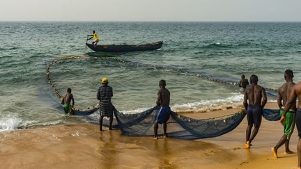 Des pêcheurs tirent leurs filets sur une plage à Robertsport, au Liberia (Afrique de l'Ouest). (MICHAEL RUNKEL / ROBERT HARDING PREMIUM)