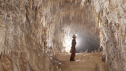 Détail de l'affiche du film "Wara Kalap, a caver's dream", film de Mathieu Rivoire, programmé à l'Espace Encan ce vendredi 20 novembre. 
 ( Explos)