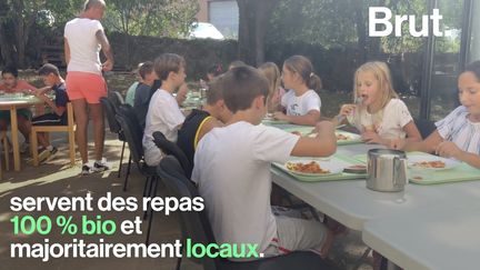 Des repas 100 % bio, deux repas végétariens par semaine, des légumes cultivés dans une régie agricole locale... Voilà ce que servent les cantines scolaires de Mouans-Sartoux. Et en France, elles font figure d'exception.