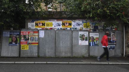 Devant des panneaux électoraux, le 29 mai 2017, à&nbsp;Tinteniac (Ille-et-Vilaine). (DAMIEN MEYER / AFP)