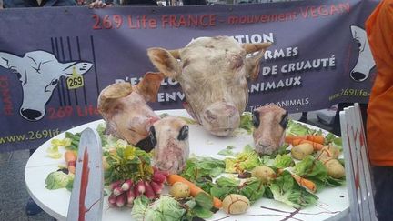 Des t&ecirc;tes d'animaux r&eacute;cup&eacute;r&eacute;es dans des abattoirs par des manifestants "vegans" sont expos&eacute;es sur des tables, devant le Salon de l'agriculture, le 26 f&eacute;vrier 2015, porte de Versailles, &agrave; Paris. (CLEMENT PARROT / FRANCETV INFO)