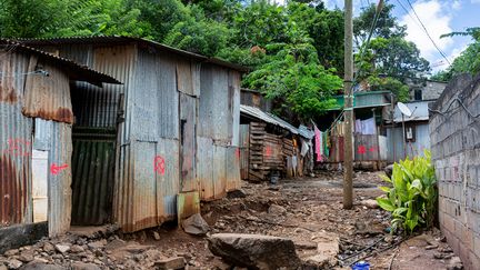 Une ruelle du bidonville "Talus 2" dans le quartier de Majicavo, dans la commune de Koungou. (MORGAN FACHE / AFP)