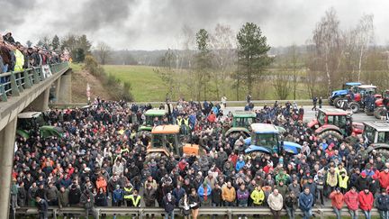 Crise des éleveurs : les agriculteurs ne décolèrent pas