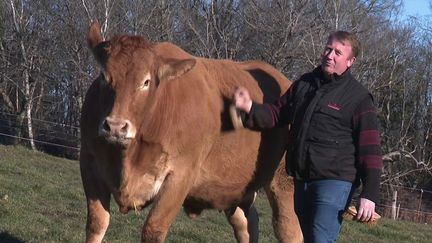 Le Salon de l’Agriculture se tient à Paris du 26 février au 2 mars 2022, à la Porte de Versailles.&nbsp;C’est le rendez-vous de tous les agriculteurs qui viennent de la France entière.&nbsp;On y&nbsp;(re)découvre&nbsp;les produits de notre&nbsp;terroir mais&nbsp;on y admire aussi les plus belles bêtes.&nbsp;Cette année, quarante limousines ont été sélectionnées.&nbsp;Rencontre avec des éleveurs passionnés en Corrèze. (FRANCE 3)