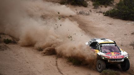 Stéphane Peterhansel (Peugeot) (FRANCK FIFE / AFP)