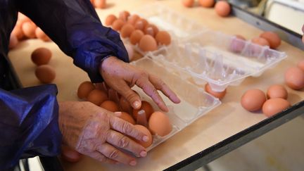 Près de 250&nbsp;000 œufs contaminés ont été mis sur le marché français depuis avril. (Photo d'illustration) (DANIEL MIHAILESCU / AFP)