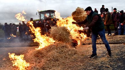 Des agriculteurs manifestent près de Bourges (Cher), le 12 février 2016. (MAXPPP)