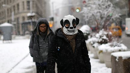 Dans une rue enneig&eacute;e de New York (Etats-Unis), le 3 f&eacute;vrier 2014. (MAXPPP)