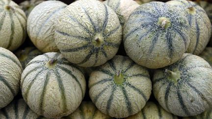 Charentais melons marketed by Lidl were recalled at the end of June 2023, due to exceeding the maximum pesticide limits (photo illustration).  (NCY / MAXPPP)