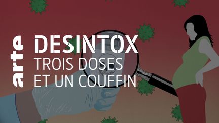 Désintox. Le vaccin Pfizer n'est pas dangereux pour les femmes enceintes. (ARTE/2P2L)