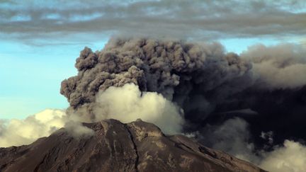 Le volcan Calbuco s'est réveillé au Chili&nbsp;en avril 2015. Après 43 ans de sommeil, il a projeté des cendres jusqu'en Uruguay et en Argentine et provoqué l'évacuation de plus de 5 000 personnes. (JULIO WRIGHT / NOTIMEX)