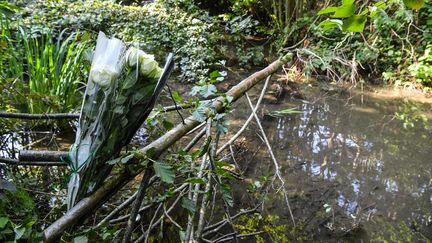 Des fleurs ont été déposées, le 30 septembre 2020, près des lieux où a été retrouvé le corps de Victorine Dartois, 18 ans, le 28 septembre 2020 à Villefontaine (Isère).&nbsp; (PHILIPPE DESMAZES / AFP)