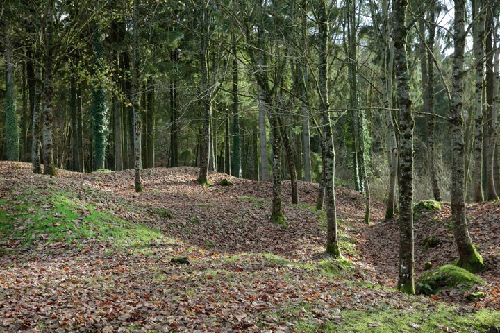 Le village de Fleury-devant-Douaumont était situé sur la ligne de front pendant la bataille de Verdun. Il a été totalement détruit et la forêt a remplacé les champs. (MANUEL COHEN / AFP)