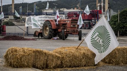 Devant la bioraffinerie Total de La Mède, sur la commune de Châteauneuf-les-Martigues (Bouches-du-Rhône), le 11 juin 2018.&nbsp; (MAXPPP)