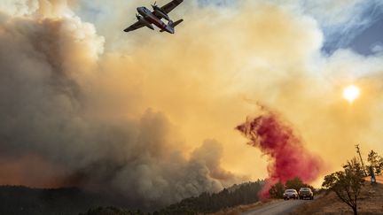 Un avion largue du retardant, le 20 août 2020, à Healdsburg (Californie). (JOSH EDELSON / AFP)
