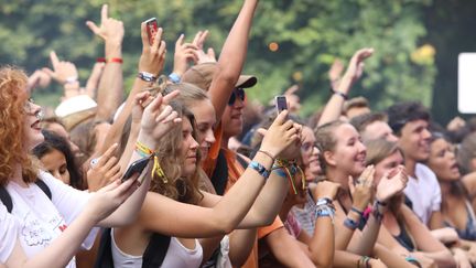 Festivaliers devant Roméo Elvis, Rock en Seine 
 (Gilles Scarella / FTV)