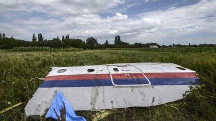 Un morceau de l'épave du vol MH17 de la Malaysia Airlines dans un champ près du village de Grabove, dans la région de Donetsk (Ukraine), le 20 juillet 2014. (AFP PHOTO / BULENT KILIC)