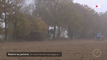 Bruxelles a proposé une dérogation sur les jachères, ce qui aurait des conséquences sur l'environnement. (France 2)